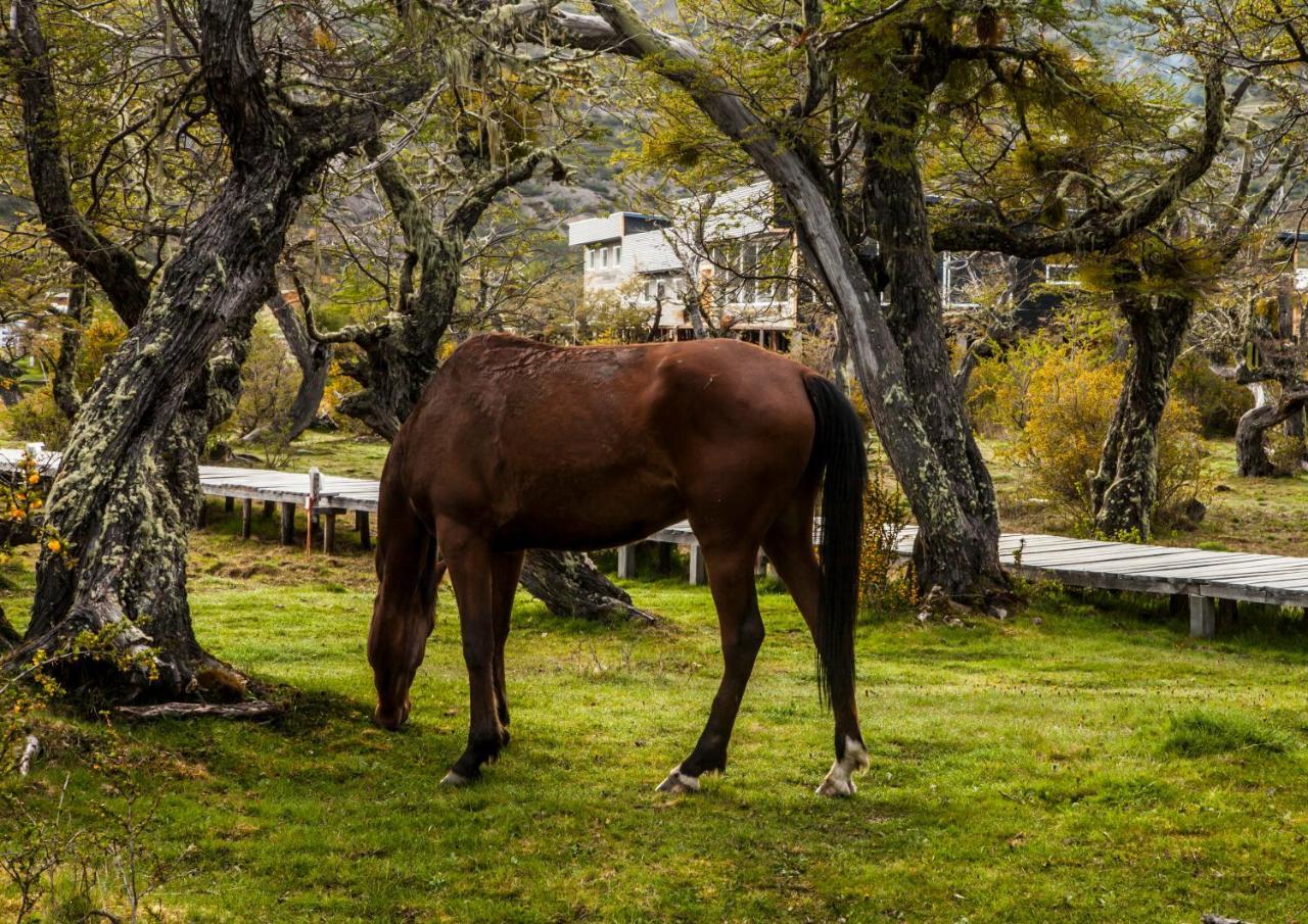Pampa Hostel Torres del Paine National Park Luaran gambar